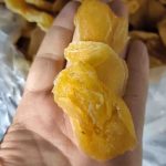 برگه قیصی شمس