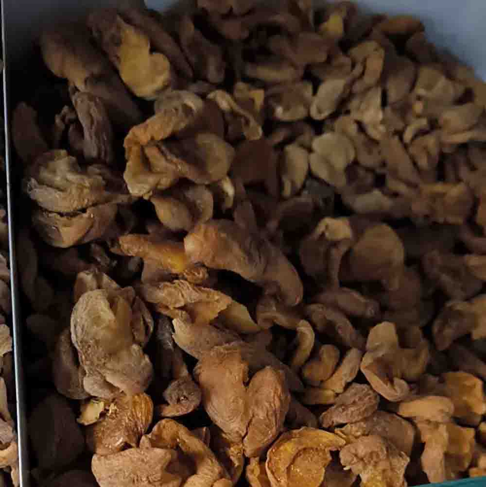 برگه زردآلو