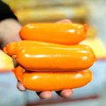 کالباس خونگی