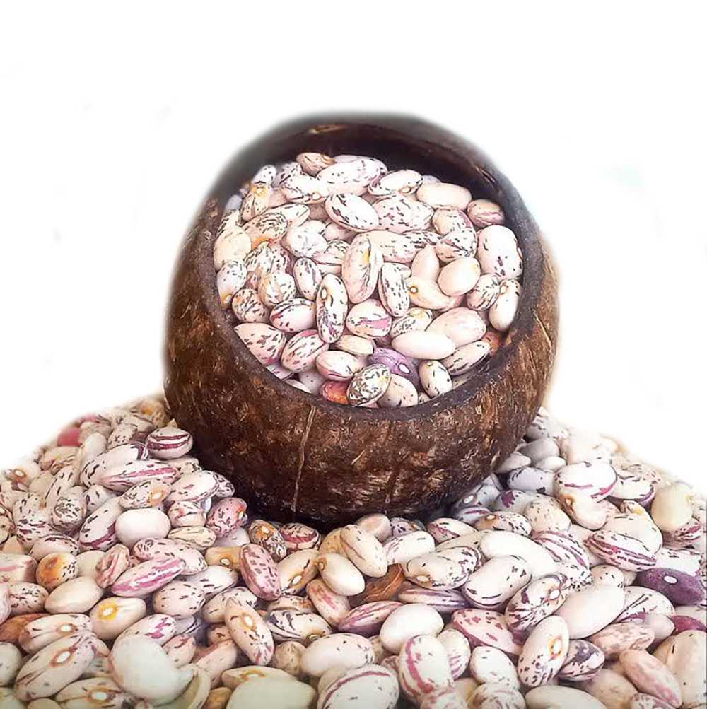 لوبیا چیتی