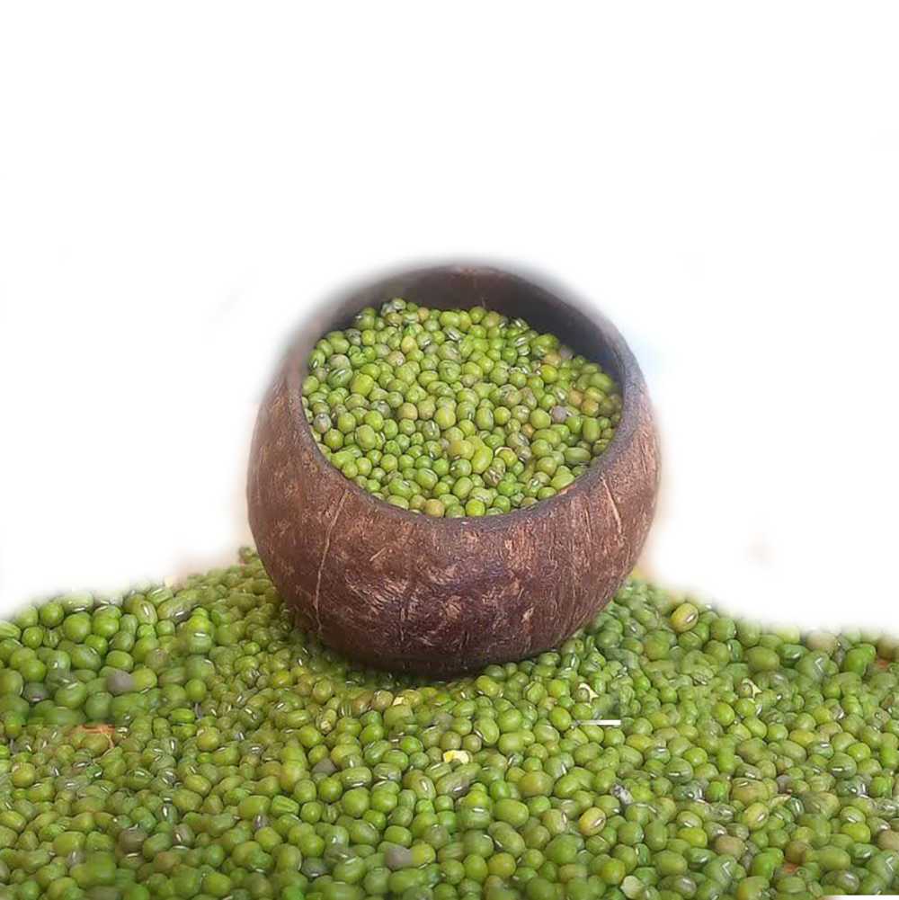 ماش
