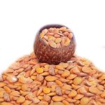 مغز بادام ایرانی شور