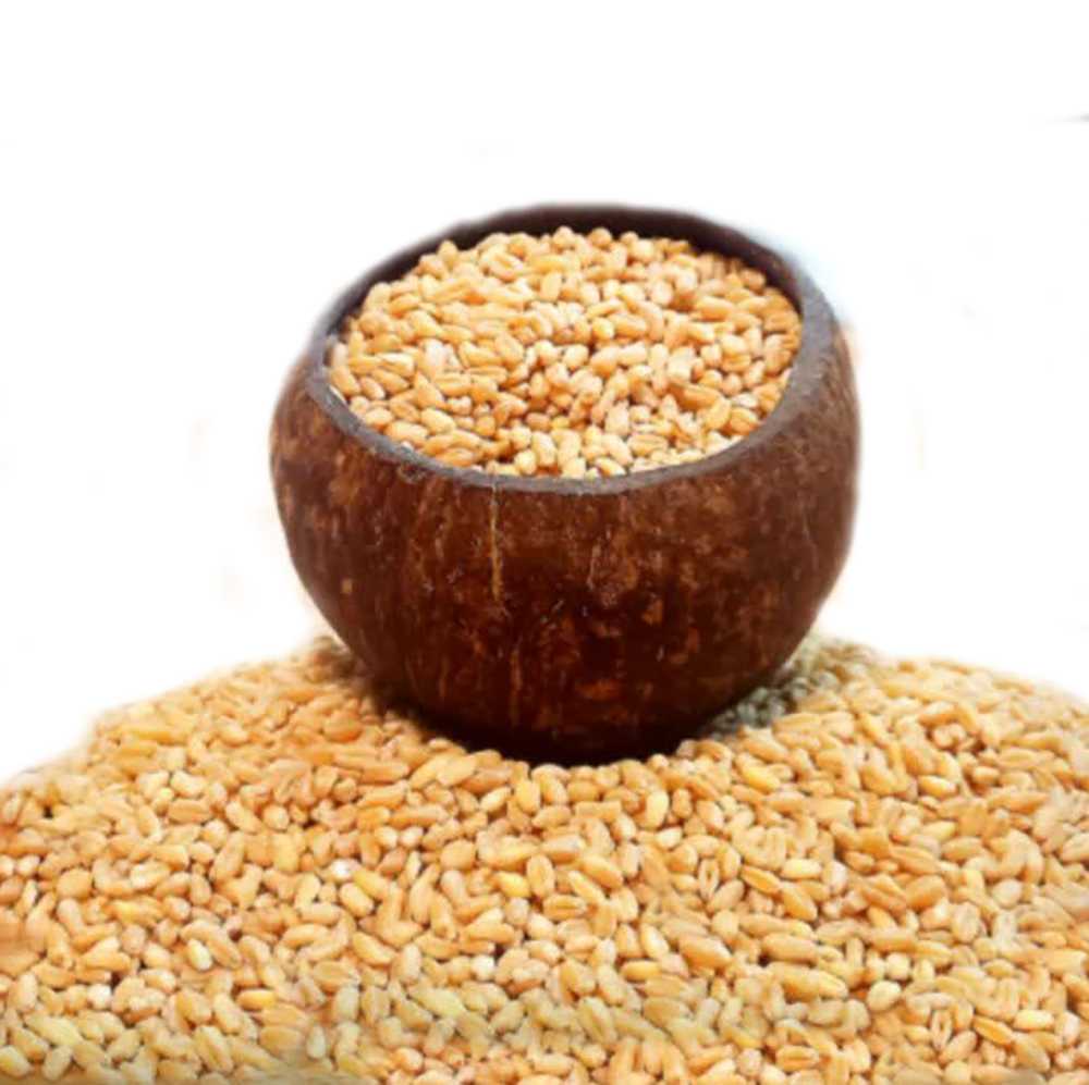 گندم پوست کنده