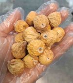 انجیر خشک متوسط