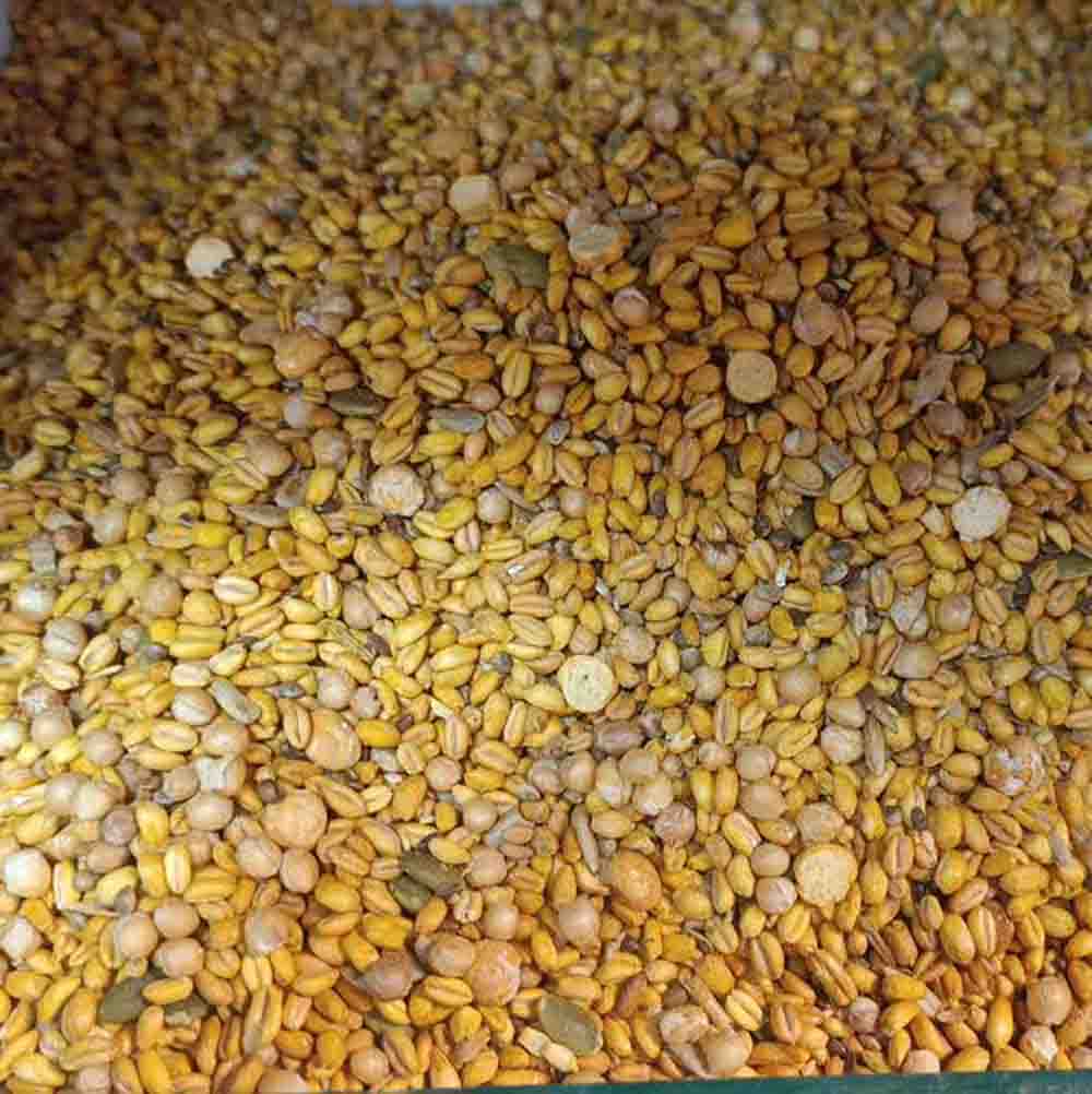 گندم برشته