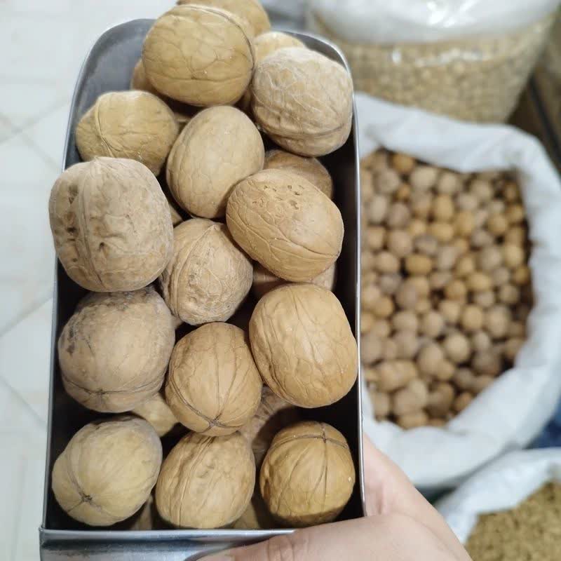 گردو بلغاری